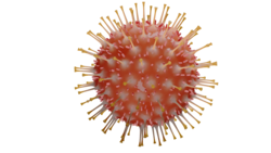 Illustration Thema Corona - Corona-Virus in Großaufnahme