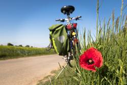 radweg pixabay