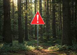 Achtung: Tierkadaver und Schlachtabfälle von Haus- und Nutztieren dürfen nicht im Wald entsorgt werden