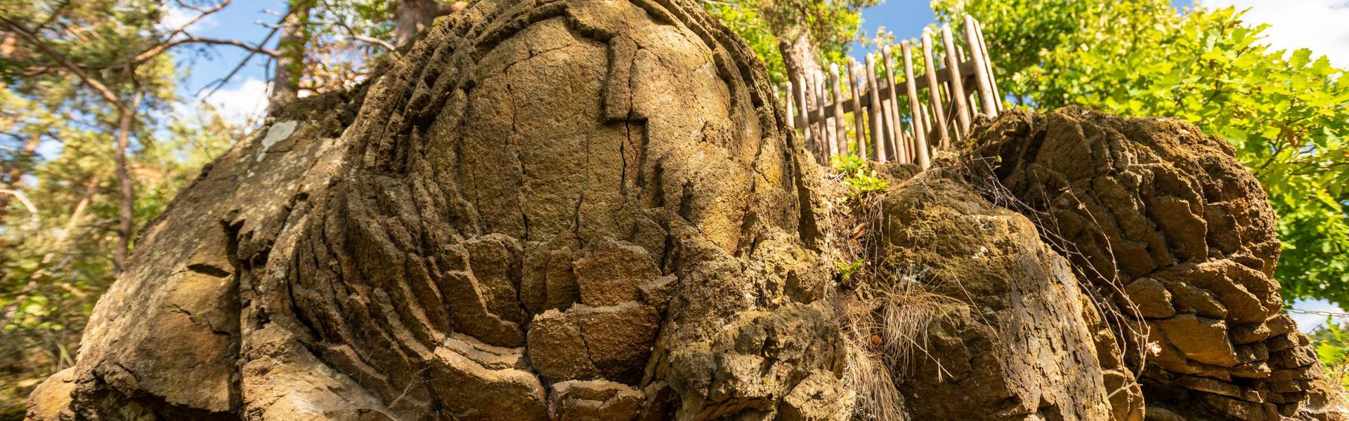 Die Steinerne Rose ist ein Naturdenkmal aus Diabasgestein in der Nähe von Kloster am Bleilochstausee. ©Regionalverbund Thüringer Wald