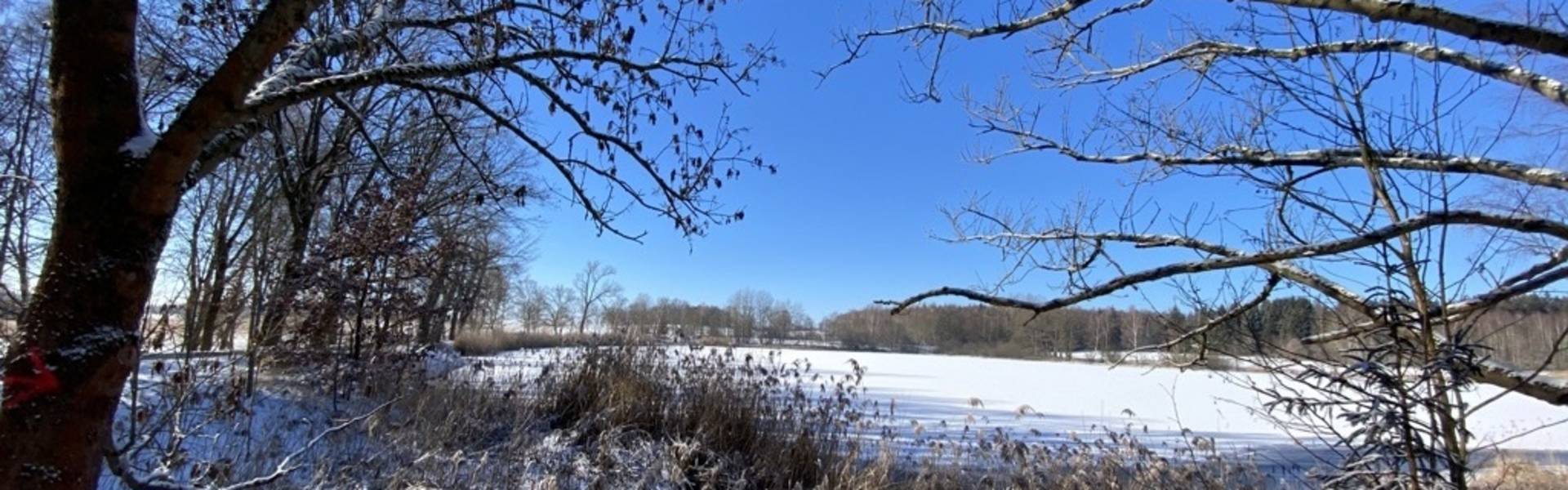 plothener teiche winter genscherodtteich fl