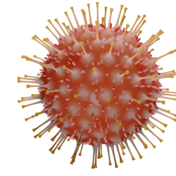 Illustration Thema Corona - Corona-Virus in Großaufnahme