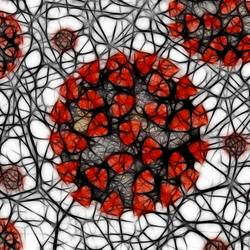 Illustration Thema Corona - Corona-Virus in Großaufnahme © Pixabay Illustration Thema Corona - Corona-Virus in Großaufnahme