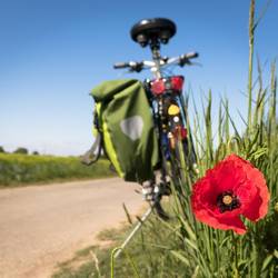 Symbolfoto © Pixabay / Didgeman radweg pixabay