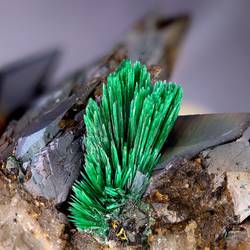 kahlleite 4 museum für naturkunde gera © Matthias Reinhardt Bilder aus einer Kabinett-Ausstellung im Museum für Naturkunde Gera über den Steinbruch Kahlleite bei Tegau / Kabinettausstellung „Steinbruch Kahlleite – Erloschene Mineralfundstelle in Ostthüringen