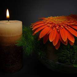 Trauermotiv mit Kerze © Pixabay Kerze, Blume