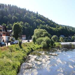 Auch in Ziegenrück darf künftig kein Wasser zur Bewässerung aus der Saale entnommen werden.