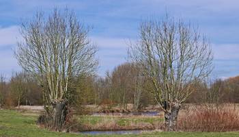 Landschaftspflege