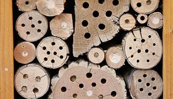 Informationsstelle für Naturschutz und Umwelt