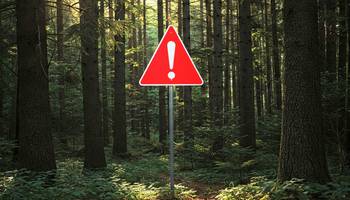 Wiederholt illegale Entsorgung von Tierkadavern im Wald festgestellt © Pressestelle LRA SOK Achtung: Tierkadaver und Schlachtabfälle von Haus- und Nutztieren dürfen nicht im Wald entsorgt werden