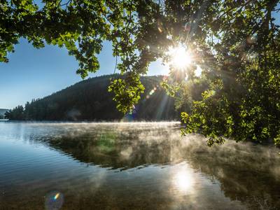 Es ist die Bleilochtalsperre, die 215 Millionen Kubikmetern Saale-Wasser fasst und auch ein Touristenmagnet ist.