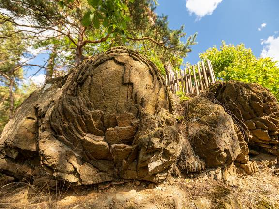 Die Steinerne Rose ist ein Naturdenkmal aus Diabasgestein in der Nähe von Kloster am Bleilochstausee.
