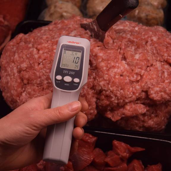 Hackfleisch und Thermometer / Lebensmittelkontrolle