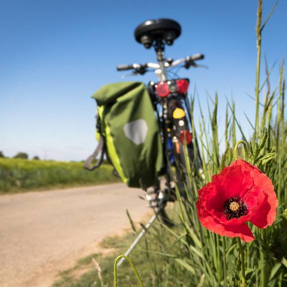Symbolfoto © Pixabay / Didgeman radweg pixabay