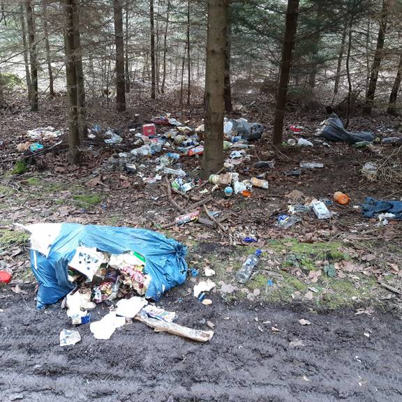 Im Wald illegal entsorgter Müll, breit verteilt, mehrere Müllsäcke