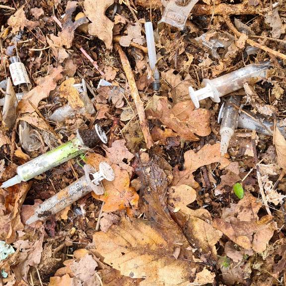 Spritzen, Ampullen und Injektionsnadeln wurden in einem Waldstück bei Ranis gefunden